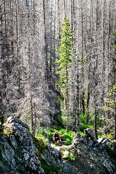 Ultra Ocscura is Tough